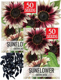 Seed Needs Sunflower Seeds for Planting Cherry Rose Sunflowers - Hybrid Flowers with Unique Bi-Colors for an Outdoors Flower Garden - Great for Cut Flowers in Bouquets & Floral Arrangements (2 Packs)