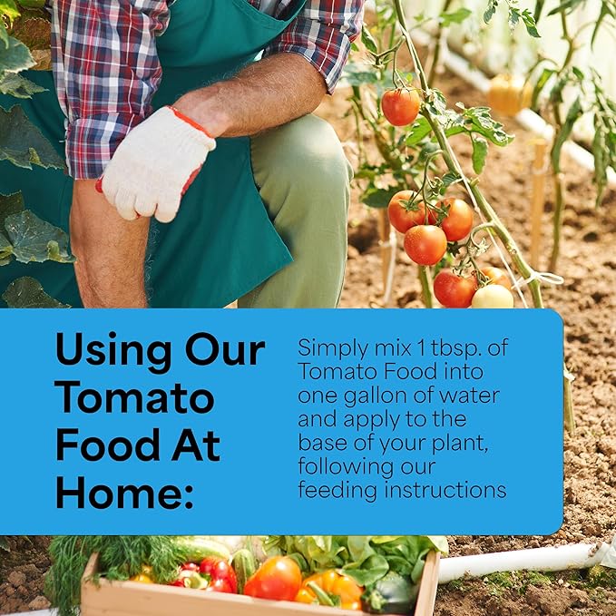 Grow More Tomato Food Fertilizer (18-18-21) - 1.5lbs of Water Soluble Tomato Fertilizer - Provides Essential Nutrients for Juicier & More Plump Crops - High Potassium Plant Food
