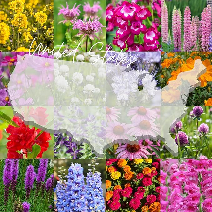 Bumblebee Pollination Bulk Wildflower Seed Mix 1lb Covers 2,000sq-ft - Attract Bumblebees, Multi-Color Blooms - Plant in U.S. in Spring/Summer/Fall - Earth-Friendly Packaging (1/2 Pound)