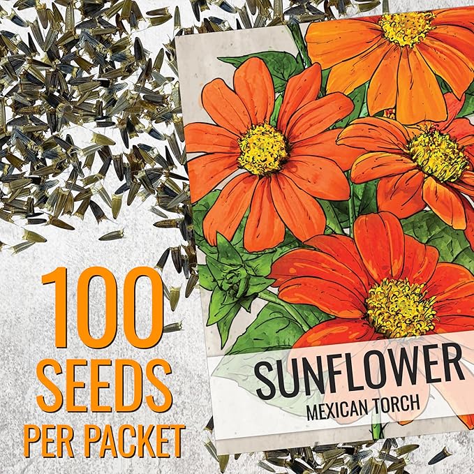 Seed Needs Mexican Sunflower Seeds for Planting Tithonia rotundifolia Flowers - Heirloom & Open Pollinated Annual Flower Seed to Plant an Outdoor Butterfly Garden (1 Pack)