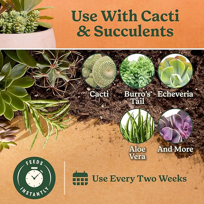 Miracle-Gro Indoor Plant Food for Cactus and Succulent, Liquid Plant Food for Indoor Succulents and Cactus, 8 fl. oz. (3-Pack)
