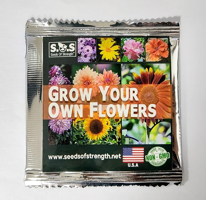Daisy Garden 100 Pcs Gerbera Jamesonii Daisy Seeds Mixed Fragrant Perennial Plant Home and Garden