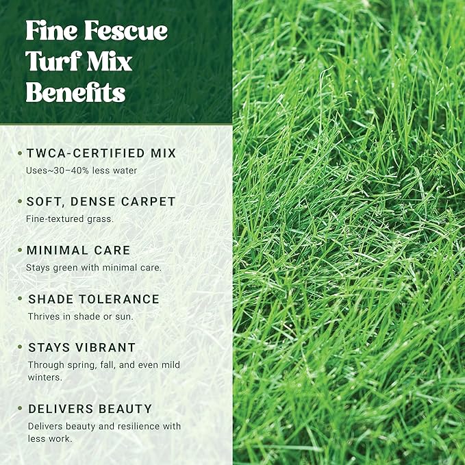 Nature’s Seed Fine Fescue Turf Grass Seed Mix Blend, Shade-Tolerant, Low Water, Cool-Season, for Garden, Lawn, Yard, 5 Lbs