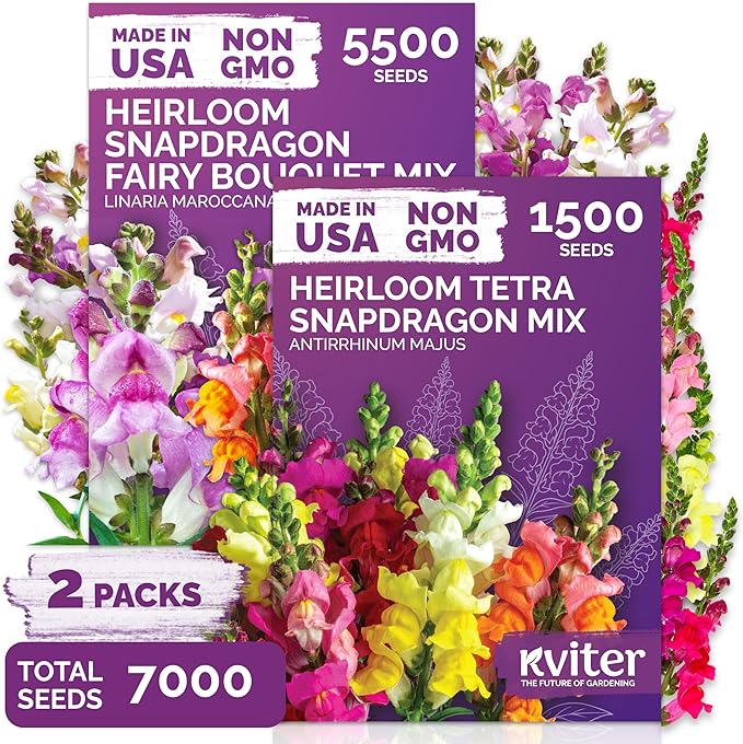 1500 Mix Tetra Snapdragon Seeds (Antirrhinum Majus) & 5500 Mix Dwarf Fairy Bouquet Snapdragon Seeds (Linaria Maroccana) – Heirloom & Organic Flower Garden Seeds, Cut Flower Seeds for Planting