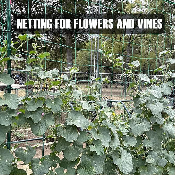 Trellis Netting, Heavy-Duty Garden Grow Netting for Climbing Plants, Outdoor Indoor Net for Cucumber, Tomatoes, Beans, Clematis, Fruits & Vegetables, Climbing Vining Plants (8.2' x 6.6'Ft)