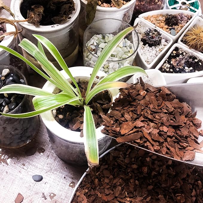 18qt Organic Orchid Potting Bark -Natural Mulch for Potted Plants, Root Development of Orchid Plants and Garden Soil Amendment Mix