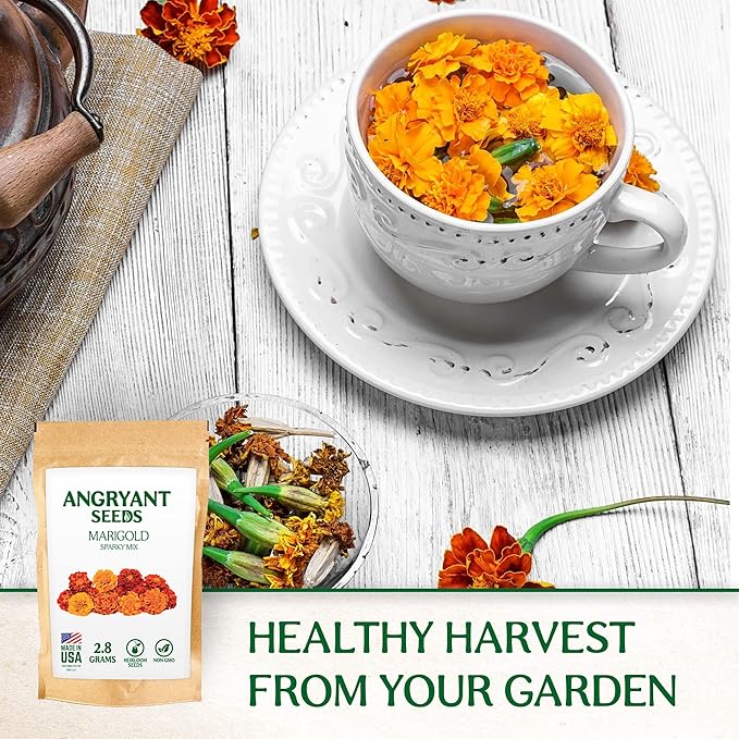 Marigold Sparky Mix Seeds - 999+ Heirloom Flower Seeds for Planting Indoors and Outdoors in Your Home Garden - Non GMO, USA Grown - Annual, Open Pollinated Wildflower Seeds Bulk for Companion Planting
