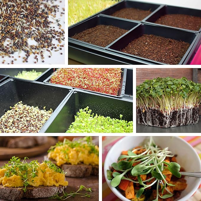 5-Pack 1020 Garden Growing Trays without Drain Holes - 10" x 20" Plastic Plant Trays No Holes - Wheatgrass Sprouting Tray, Microgreens Seed Tray, Hydroponic Trays, Nursery Flats, & Greenhouse Supplies