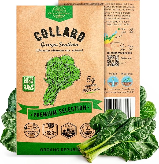 Organo Republic Collard Georgia Southern Seeds Pack 5G - Over 1900 Non-GMO Heirloom Collard Seeds for Planting Vegetable in Individual Seed Packet Vegetables Seeds for Planting Indoor & Outdoor