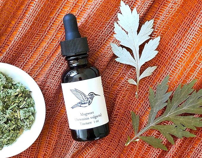 TomorrowSeeds - Common Mugwort Seeds - 5000+ Count - for 2025 Planting Artemisia Vulgaris Wormwood Weed Moxa Moxibustion Riverside Acupuncture Perennial Vegetable Herb Grow Your Own Home Farm Patio