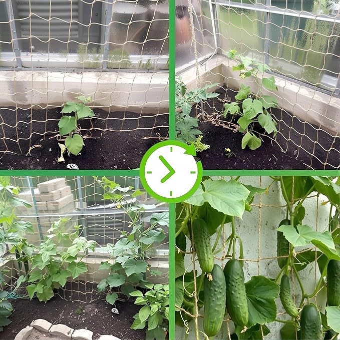 Jute Trellis Netting - Jute Netting for Climbing Plants, Heavy Duty Garden Plant Support Netting for Cucumber, Vine, Fruits & Vegetables Tomato Plants Trellis Net (6.6 x 32.8 Ft, 3.9 Inch Squares)