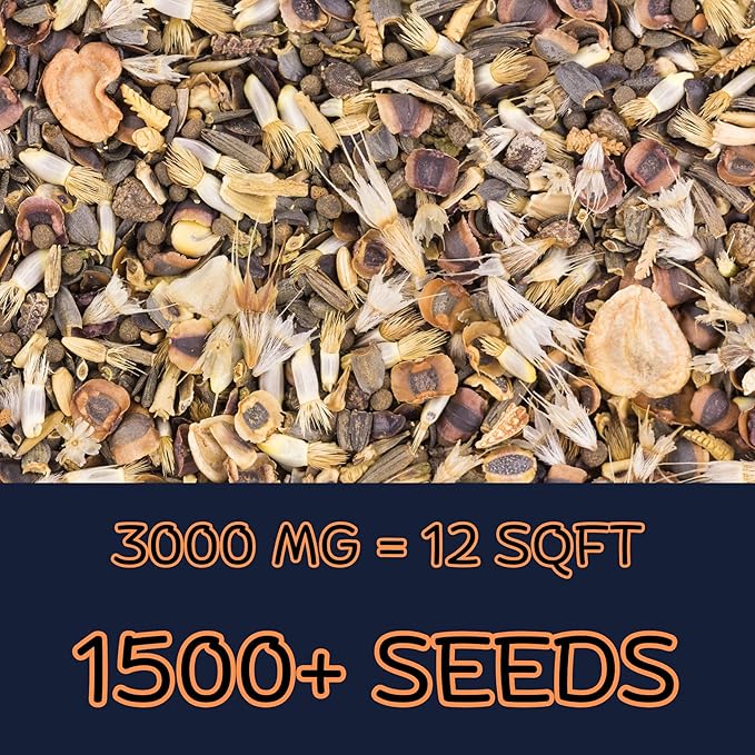 Beneficial Bug Wildflower Mix (Seed Packet) Sprinkle a Little Magic—Our Shade, Perennial, Hummingbird, Deer-Resistant, and Other mixes Bring Vibrant Color and pollinator Joy to Any Space.