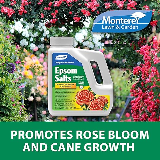 Monterey Epsom Salts Magnesium Sulfate Bundled with Measuring Spoon – 4lbs – Promotes Rose Bloom & Cane Growth, Enhances Chlorophyll Production, Boosts Phosphorus Absorption