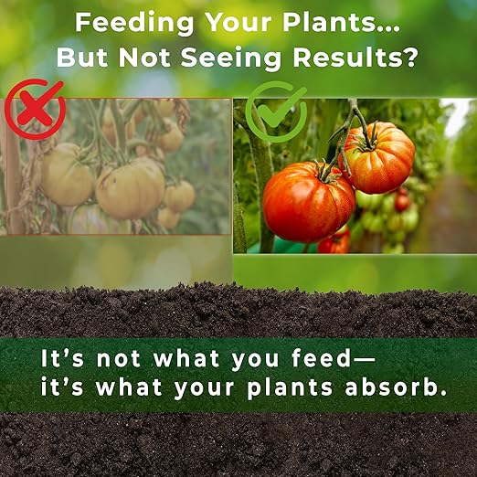 Organic Liquid Fertilizer for Plants – Boost Root Growth & Nutrient Absorption – Mycorrhizae + Soil Biology for Stronger, Healthier Plants – Garden, Vegetables, Indoor & Hydroponic (GGO Revive)