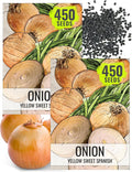 Seed Needs Onion Seeds for Planting Yellow Sweet Spanish Long Day Onions - Non-GMO Heirloom & Untreated Vegetable Seeds to Plant an Outdoor Home Grown Veggie Garden (2 Packs)