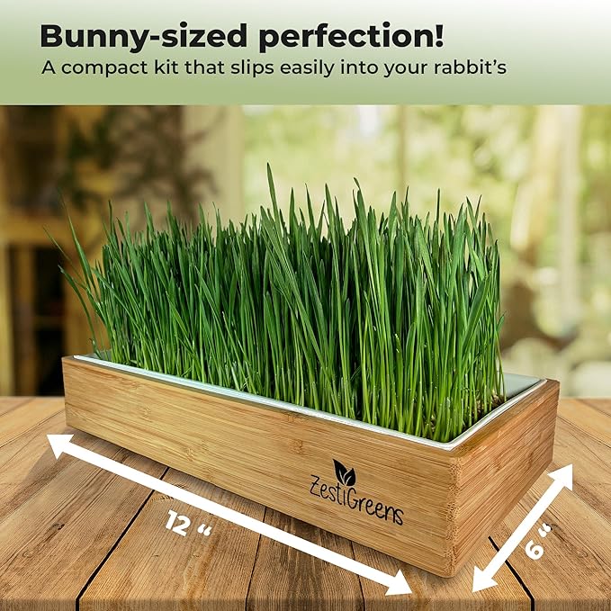 Rabbit Grass Growing Kit – Easy, Self-Watering System for Fresh, Healthy Indoor Greens