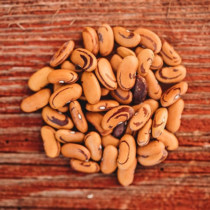 Tiger's Eye Bush Shelling Bean - 50 Seeds - Heirloom & Open-Pollinated Variety, USA-Grown, Non-GMO Vegetable/Dry Bean Seeds for Planting Outdoors in The Home Garden, Thresh Seed Company