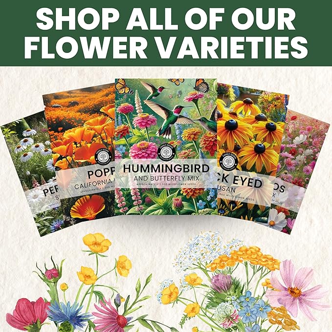 Hummingbird Butterfly Mix - Large 5g Envelope - 1,000 Flower Seeds for Planting - Wildflower Mix