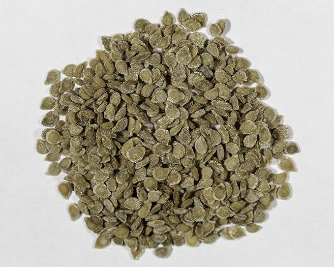 Joyous Jiffy "Tomato" Collection #1 - (2) Round 3x3 Jiffy pots, (2) Soil Peat Pellets, (1) 25+ Roma Tomato Seed Pack and (1) 25+ Yellow Pear Tomato Seed Pack. - Country Creek LLC