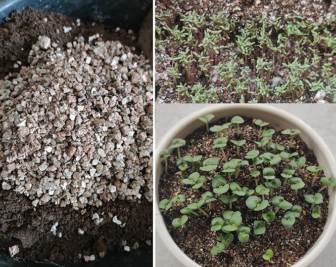 30QT Organic Vermiculite Granules for Plants and Gardening