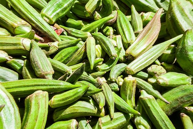 Organic Clemson Spineless Okra (Abelmoschus esculentus) 250 Seeds (25 Grams) - Common Ivy, Gobbo, Gumbo, Ivy Gum Plant, Ladies' Fingers, Ochro, Okra, Okro by Smoke Camp Crafts