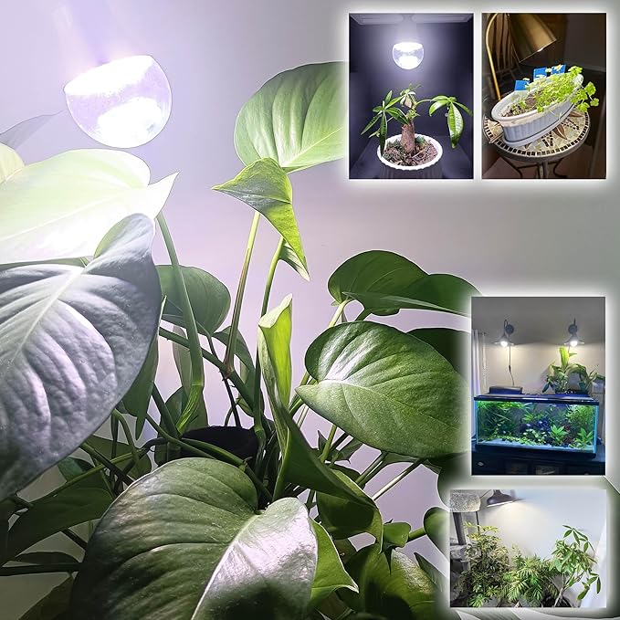 ALIDE E17 Intermediate Base Plant Grow Light Bulbs for Indoor Plants, E17 Full Spectrum Sun Grow LED Lamp 10W with Balanced Spectrum 5000K Red Blue Yellow for Seeds Greens Laboratory,Greenhouse,3Pack