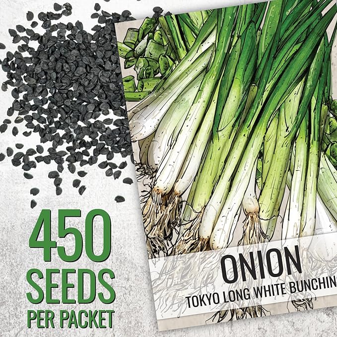 Seed Needs Onion Seeds for Planting Tokyo White Bunching Long Day Onions - Non-GMO Heirloom & Untreated Vegetable Seeds to Plant an Outdoor Home Grown Veggie Garden (2 Packs)
