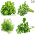 Culinary Herb Seeds Variety Pack – Genovese Basil, Italian Flat Leaf Parsley, Cilantro, Dill – Non-GMO, Heirloom, USA-Grown Herb Garden Seeds for Indoor or Outdoor Growing – Kitchen Essentials for Cooking