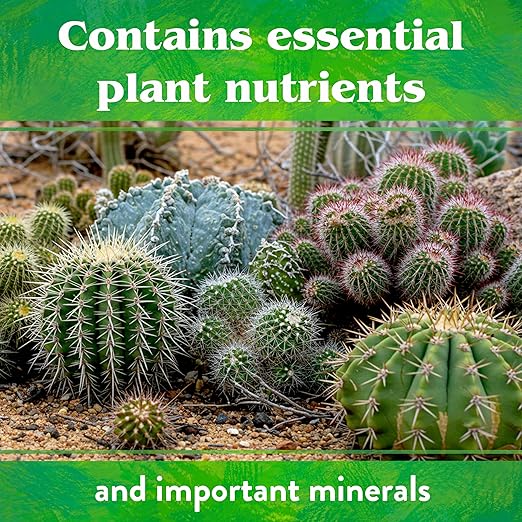 Down To Earth All Natural Fertilizers Organic Cactus & Succulent Mix - Plant Food for Cactuses, Agaves, Aloes, Jades, and Yuccas 2-4-8, 1 lb