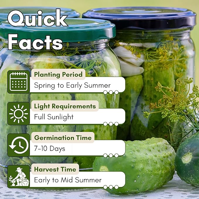 National Pickling Cucumber Seeds for Planting - Heirloom Cucumber Seed Pack - Non-GMO Pickling Cucumbers for Planting Indoors or Outdoors | Woods Creek Seeds