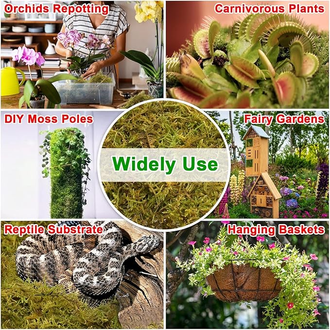 Halatool 4.4LB Green Forest Moss Natural Sphagnum Moss for Plants Fluffy Orchid Moss for Orchids Repotting Dried Plant Moss for Potted Plants Indoor & Outdoor