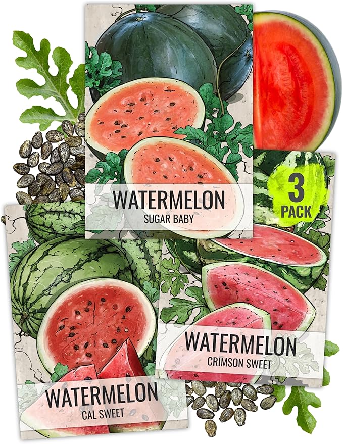 Seed Needs Watermelon Seeds for Planting Fruits - Non-GMO Heirloom & Untreated Water Melon Seed to Plant an Outdoor Home Grown Garden - Collection/Seed Kit (3 Packs)