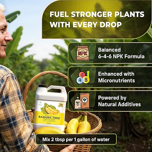 Leaves and Soul Professional Banana Tree Fertilizer Liquid Concentrate - 6-4-6 Blend for Fruit Tree Fertilizer, Garden - Liquid Plant Food for Banana Trees in Pots or Outdoors - 32oz