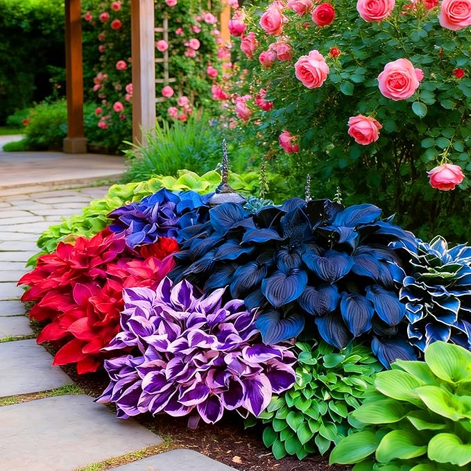 Hosta Seeds for Planting, 100+pcs Rare Perennial Hosta Flower Seeds, Non-GMO Heirloom Long Blooming Plants Shaded Entry Pathway Flowers for Home Garden Outdoors