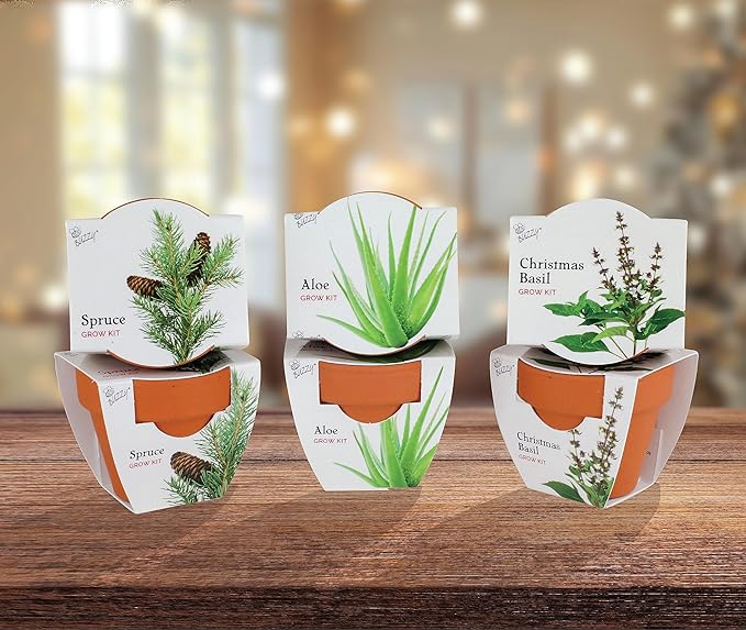 BUZZY Seeds Terracotta Mini Grow Pots 6-Pack Radiant Series – Mixed Herb, Succulent, and Tree Seed Kit for Indoor Gardening and DIY Projects