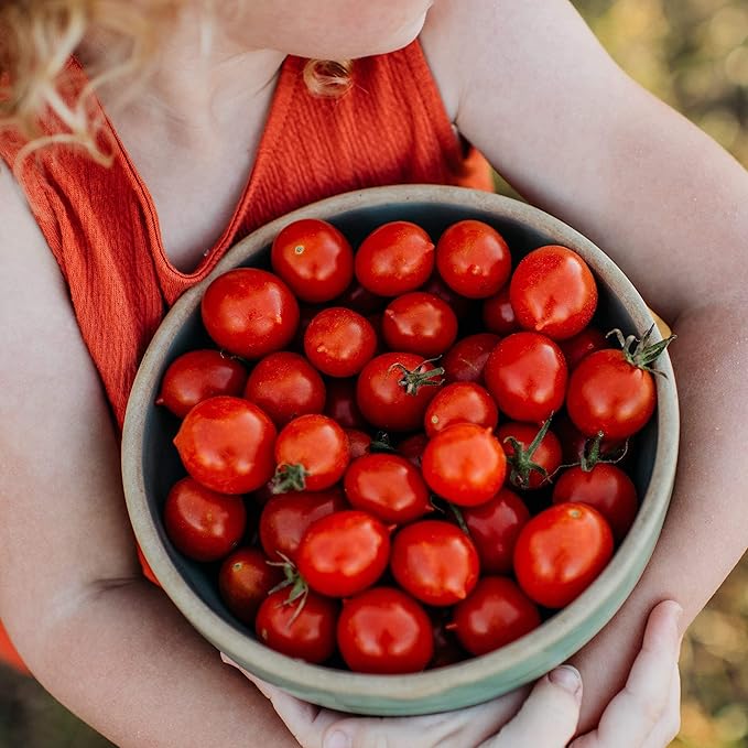 Riesentraube Heirloom Grape Tomato - 50 Seeds - Open-Pollinated Cherry Tomato Variety, Non-GMO, Heirloom Grape Tomato Seeds for Planting in The Home Garden, Thresh Seed Company