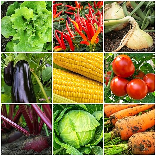 The Old Farmer's Almanac Organic Tomato & Vegetable Plant Food Fertilizer (4.5 Lbs - Covers 500 Square Feet), OFA-TV848