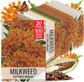 Seed Needs Orange Milkweed Seeds for Planting Butterfly Weed - Heirloom & Untreated Perennial Flower Seed to Grow a Monarch Butterfly Garden (20 Packs)