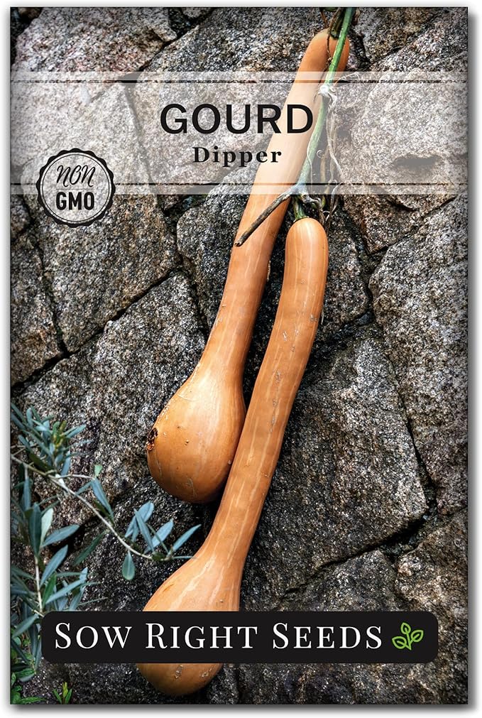 Sow Right Seeds - Dipper Gourd Seeds for Planting - Non-GMO Heirloom Packet with Instructions to Plant and Grow an Outdoor Home Vegetable Garden - Ornamental Craft Gourd - Rare & Unique (1)