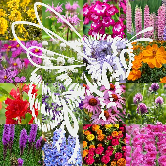 Bumblebee Pollination Bulk Wildflower Seed Mix 1lb Covers 2,000sq-ft - Attract Bumblebees, Multi-Color Blooms - Plant in U.S. in Spring/Summer/Fall - Earth-Friendly Packaging (1/2 Pound)