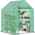 LEMY Walk-in Greenhouse for Outdoors,2-Tier 8 Shelves Heavy-Duty PE Cover with Roll-Up Zipper Door and Windows,Steel Frame Plant Hot House with Anchors,Ropes for Garden,Patio