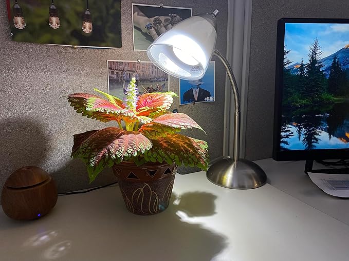 Miracle LED 6.5KK Indoor Grow Light Bulb – 6500K Full Spectrum Grow Bulbs for Vegetables, Herbs, Hydroponics. (2-Pack)