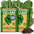 HOME GROWN Georgia Southern Collard Green Seeds – Bulk 2 Pack (600 High-Germination Non-GMO Heirloom Seeds) – for Planting in Vegetable Gardens (Brassica oleracea).
