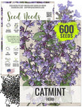 Seed Needs Catmint Seeds for Planting an Indoor/Outdoor Herb Garden - Non-GMO Heirloom & Untreated Herbal Plants - Great for Cats Nepeta mussinii (1 Pack)