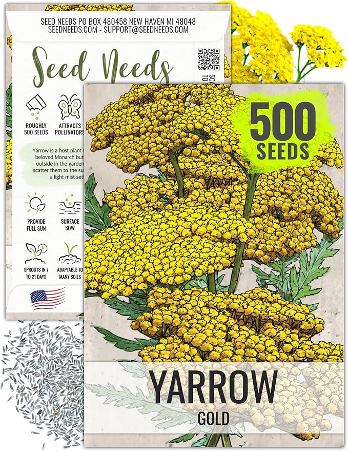 Seed Needs Gold Yarrow Seeds for Planting Yellow Achillea filipendulina - Heirloom & Open Pollinated Perennial Flowers to Attract Monarch Butterflies to a Butterfly Garden (1 Pack)