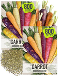 Seed Needs Carrot Seeds for Planting Rainbow Carrots - Non-GMO Heirloom & Untreated Veggie Seed to Grow a Home Grown Vegetable Garden in Fall or Spring (2 Packs)