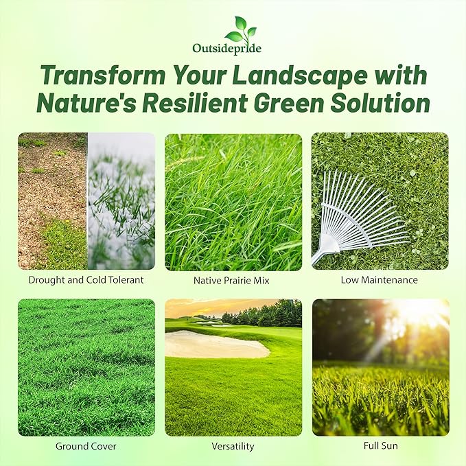 Outsidepride Xeriscape Native Prairie Grass Seed Mix – 25 lb. Perennial, Warm-Season, Cold & Drought-Tolerant, Fine Leaved, Dense Turf Grass Seeds for Lawn, Ground Cover & Arid Xeriscape Landscaping