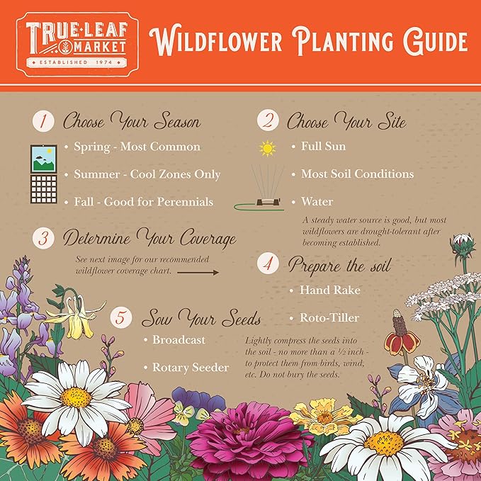 Bulk Wildflower Seeds for Texas and Oklahoma – 1/4 LB (~160,000 Seeds) – Non-GMO Mix of Annuals & Perennials – Native Flowers for Pollinators, Bouquets, Landscaping