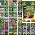 Ultimate Medicinal Herb Seeds Variety Pack – 36 Heirloom Non-GMO Healing Herbs for Planting | Wellness & Apothecary Garden Kit for Herbalists, Homesteaders – Survival Garden Seeds (28,000+)
