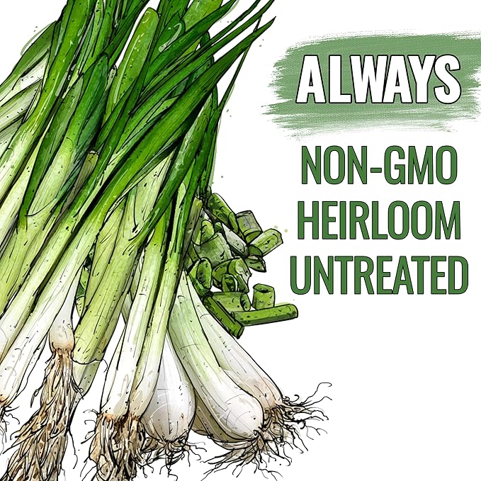 Seed Needs Onion Seeds for Planting Tokyo White Bunching Long Day Onions - Non-GMO Heirloom & Untreated Vegetable Seeds to Plant an Outdoor Home Grown Veggie Garden (5 Packs)